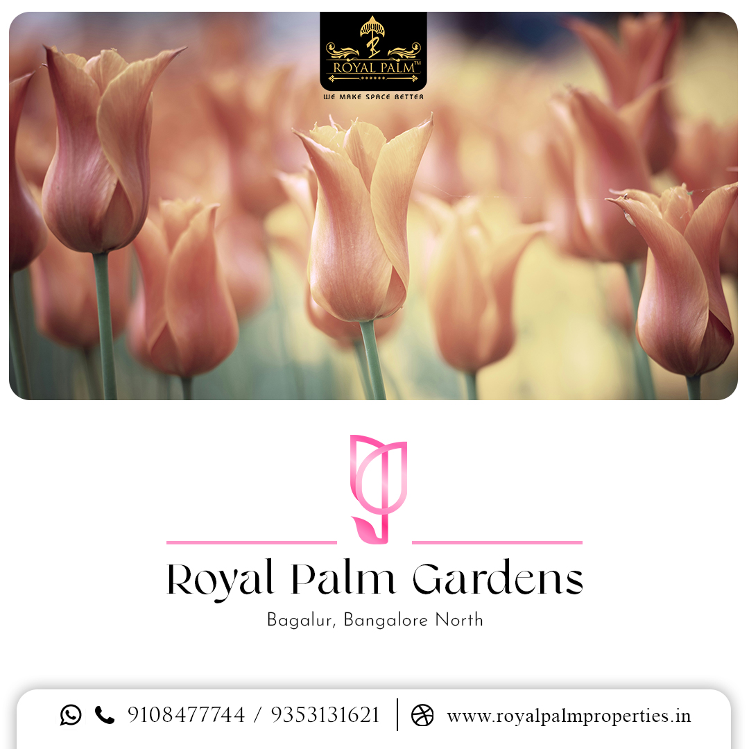 Royal Palm Gardens Bagalur
